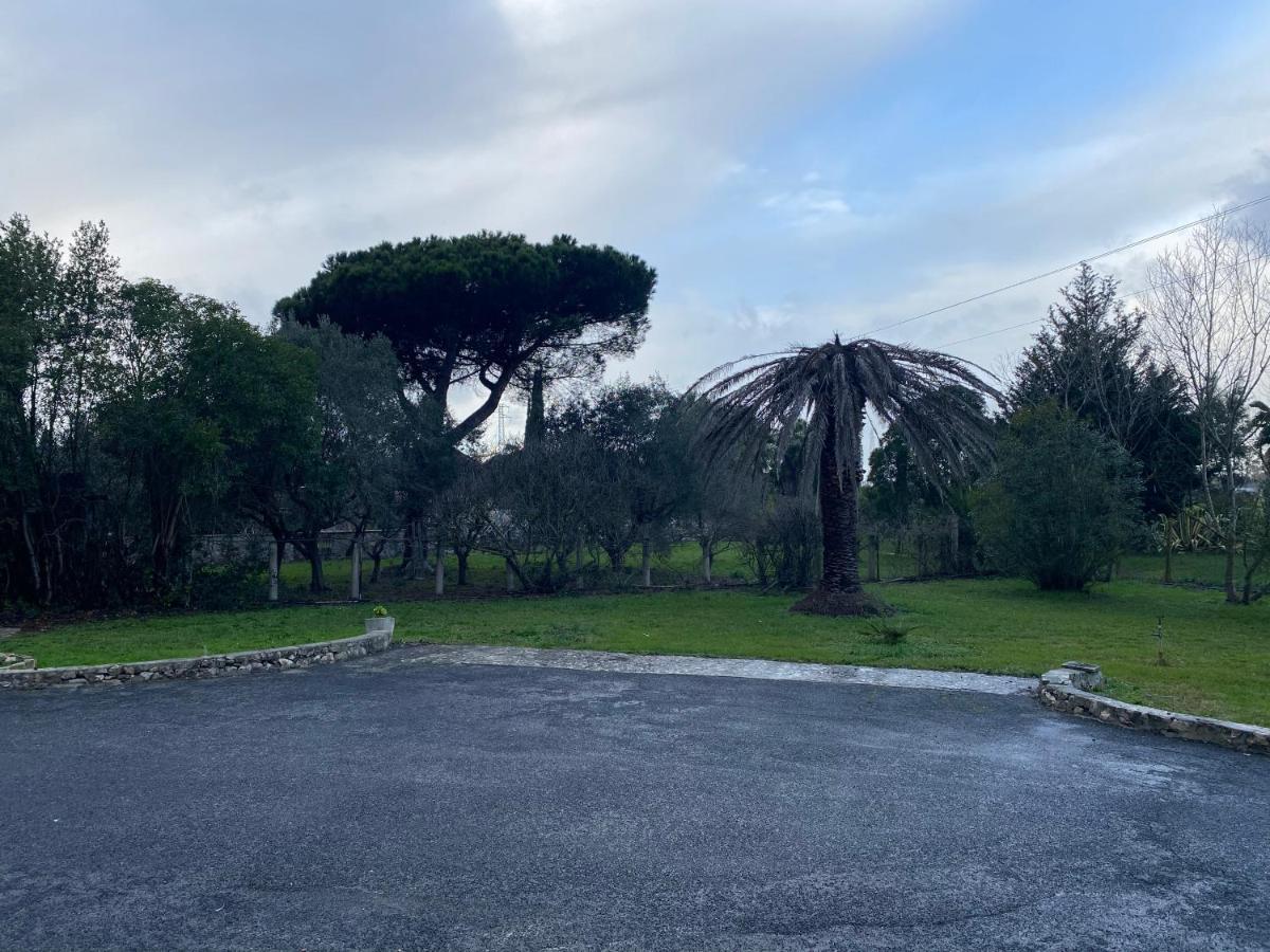 American Motel Cisterna di Latina Kültér fotó